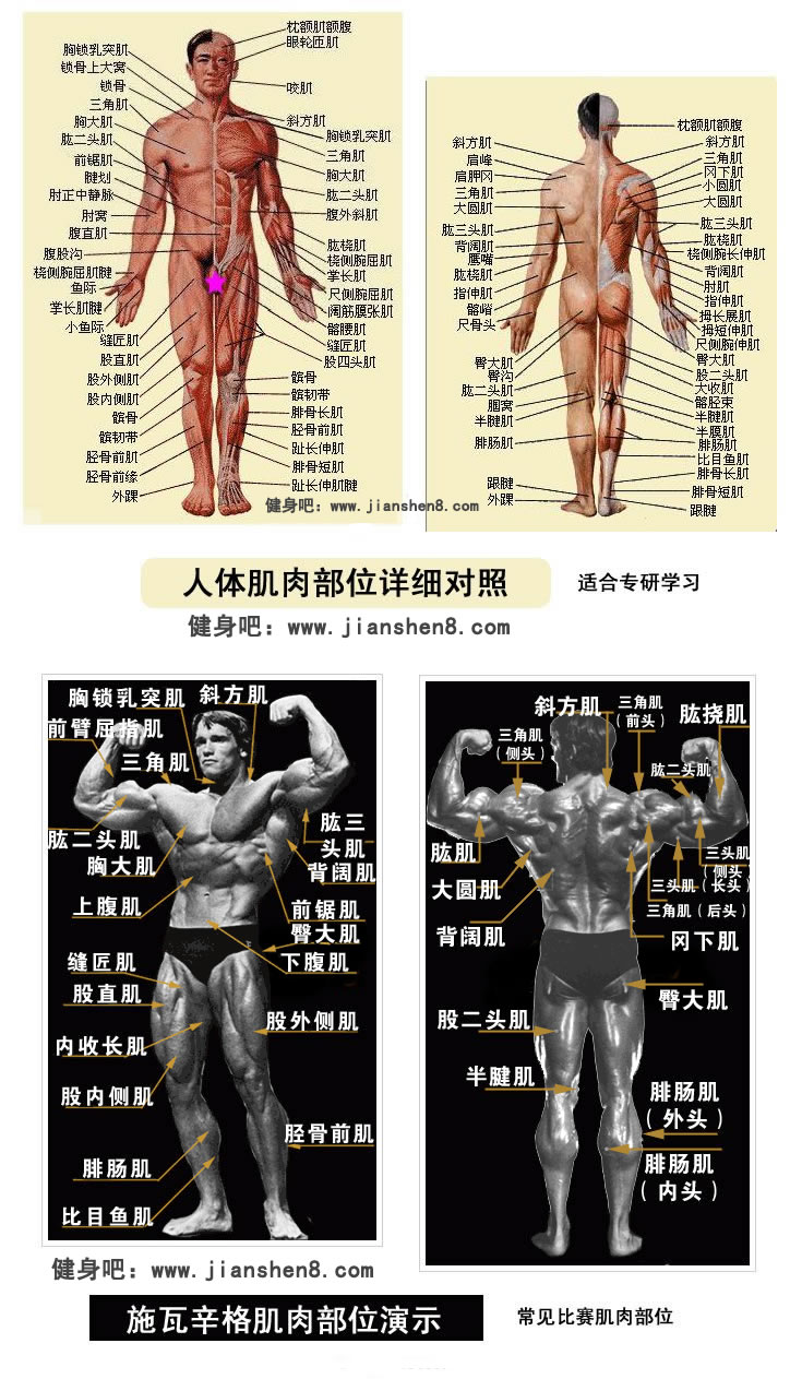 弡ֲ
